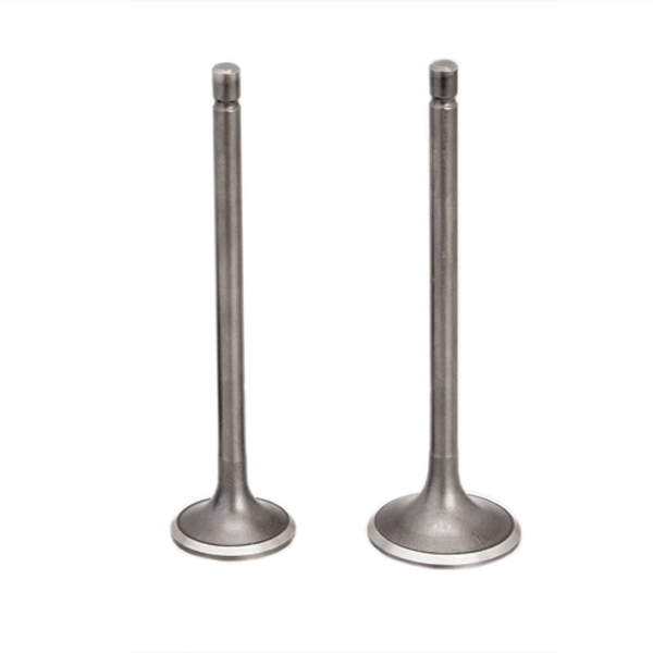 INLET AND EXHAUST VALVE
