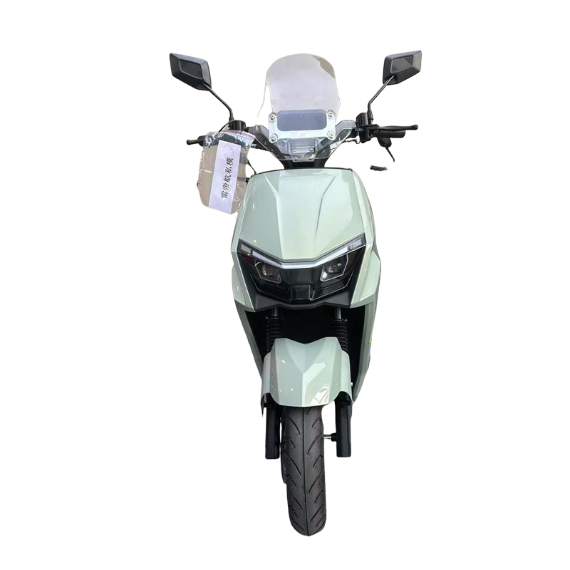 Electric motorcycle