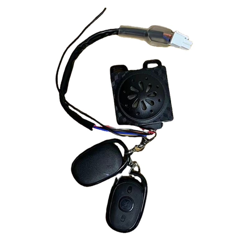 Anti-theft device