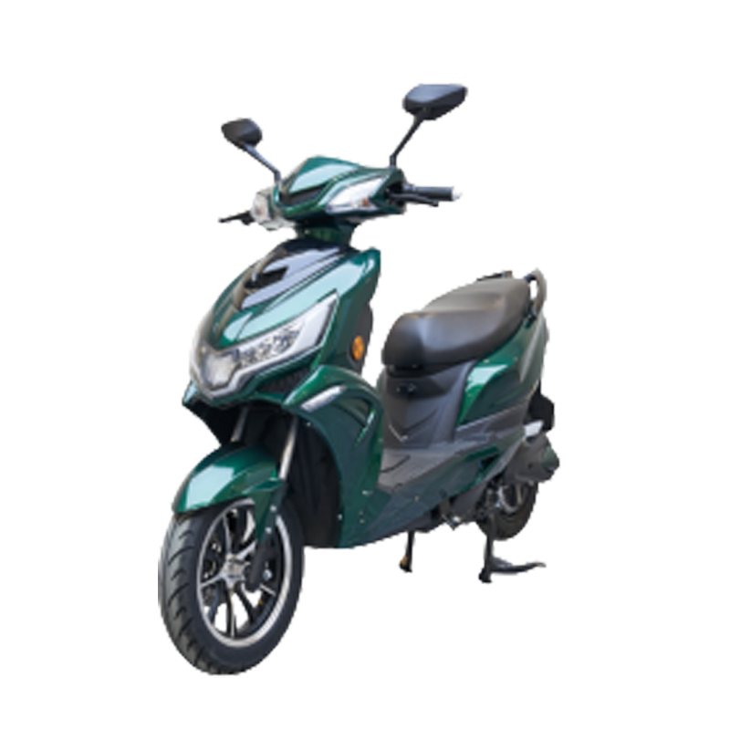 Electric motorcycle